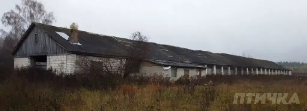 Здание фермы 700кв.м