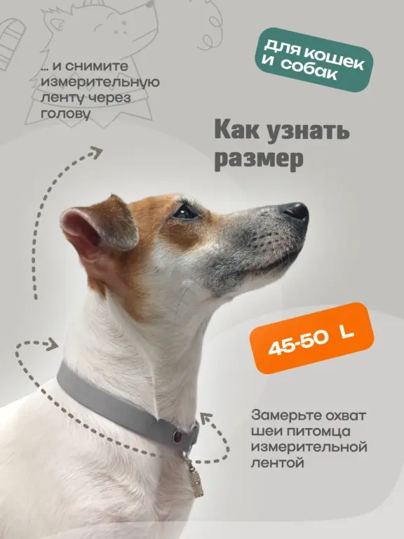Адресник для кошек и собак, прогулочный из биотана