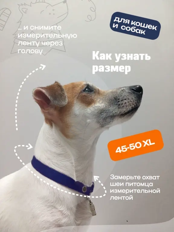 Адресник для кошек и собак, прогулочный из биотана