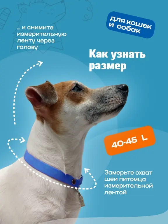 Адресник для кошек и собак, прогулочный из биотана