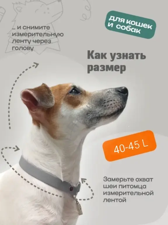 Адресник для кошек и собак, прогулочный из биотана